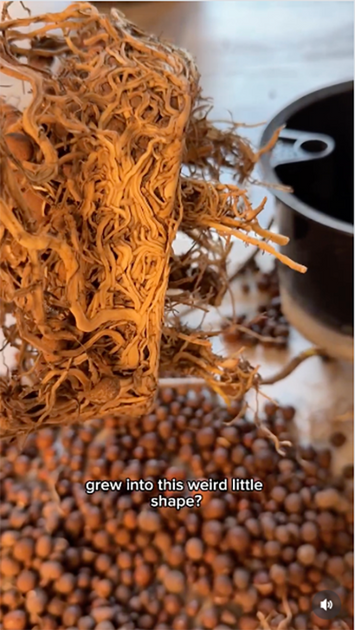 Root-Bound?