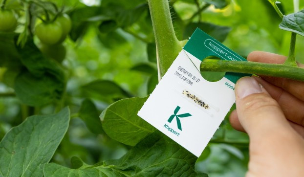 Enermix (Encarsia formosa + Eretmocerus eremicus) — Parasitic Wasp Cards for Whitefly Control