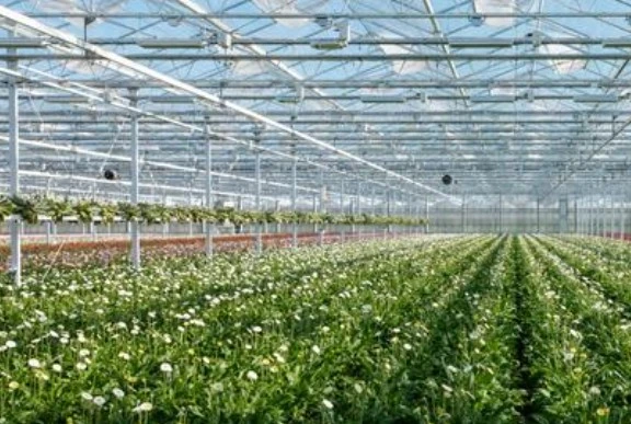 Why May Is the Most Important Month in Your Greenhouse IPM Calendar