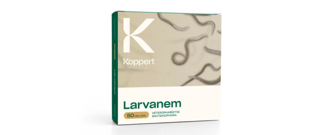 Larvanem - Heterorhabditis bacteriophora