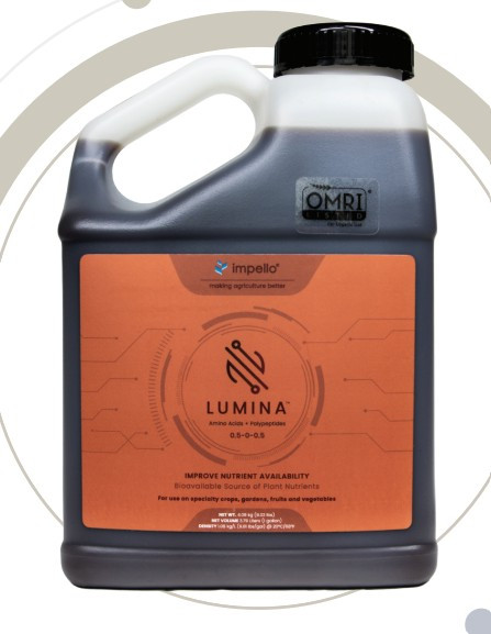 Feeding Plants Gently: How Lumina Supports Growth, Energy, and Stress Recovery