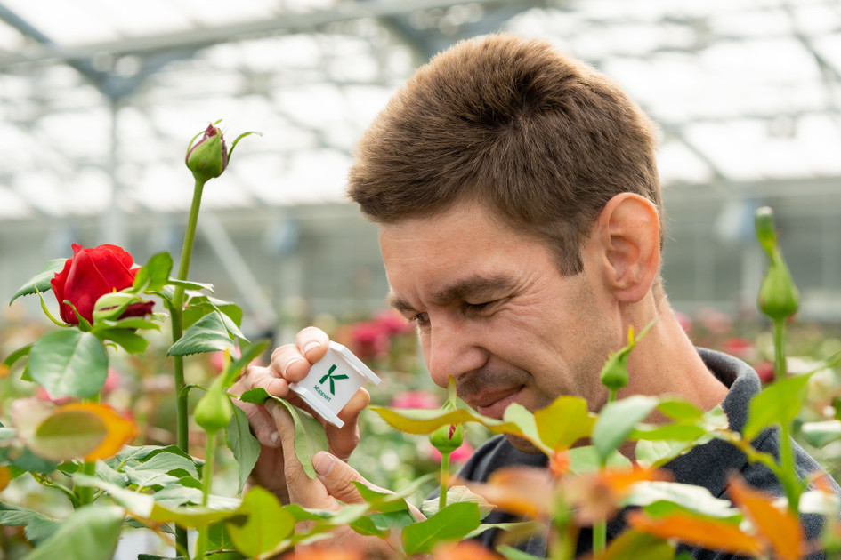How to tell between Spider Mites, Broad, and Russet Mites: A Diagnostic Guide