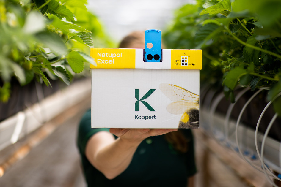 Hive Set Up and Important Tips