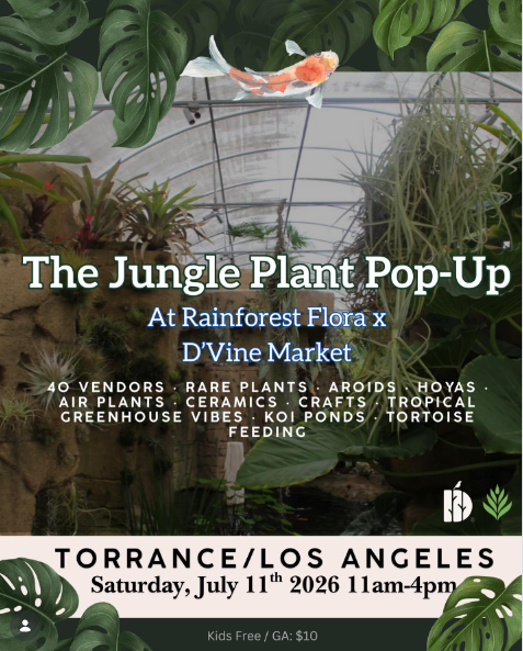 Natural Enemies Joins the Jungle Plant Pop-Up at Rainforest Flora