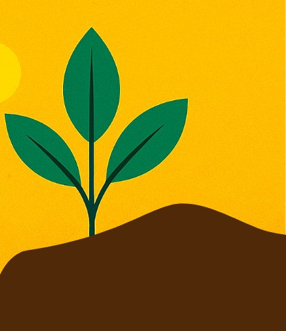 Controlling Grubs at the Source: Black Vine Weevil Focus