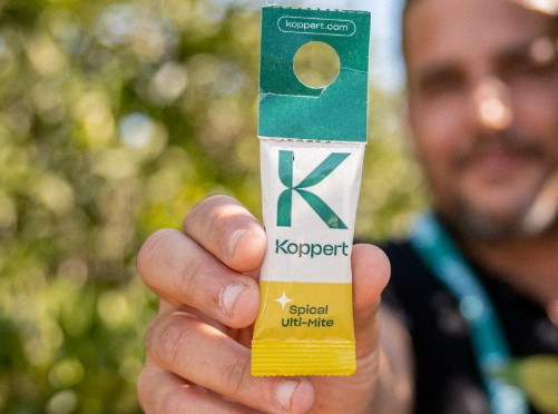 Spical Ulti-Mite Sachets (Neoseiulus californicus) — Predatory Mite for Spider Mite Control