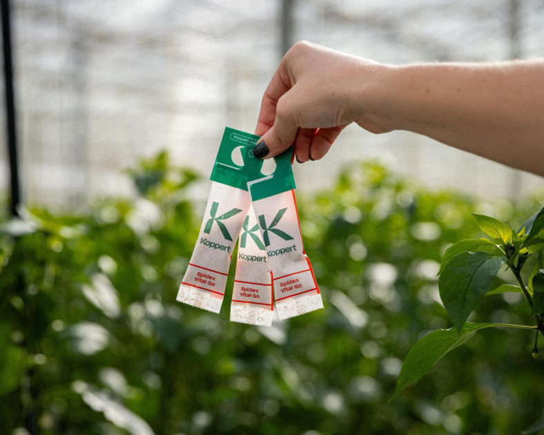 New Product: Spidex Vital Go Sachets