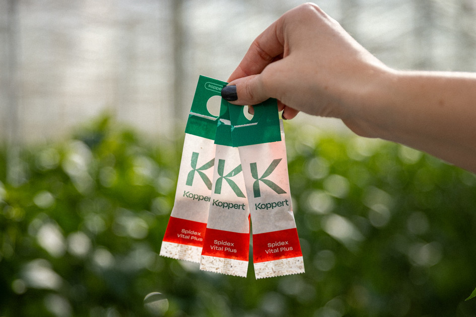 Beneficial Mite Sachets: How They Work and When to Use Them