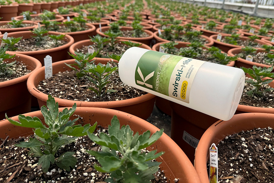 A Better Pesticide Alternative: Biological Agents