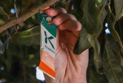 Swirski-Mite Ulti-Mite Sachets (Amblyseius swirskii) — Predatory Mite for Thrips, Whiteflies & Pest Mites