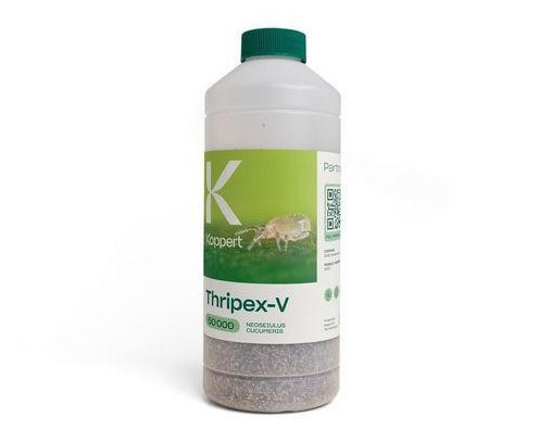 Thripex-V Bottles (Neoseiulus cucumeris) — Predatory Mite for Thrips and Mite Control