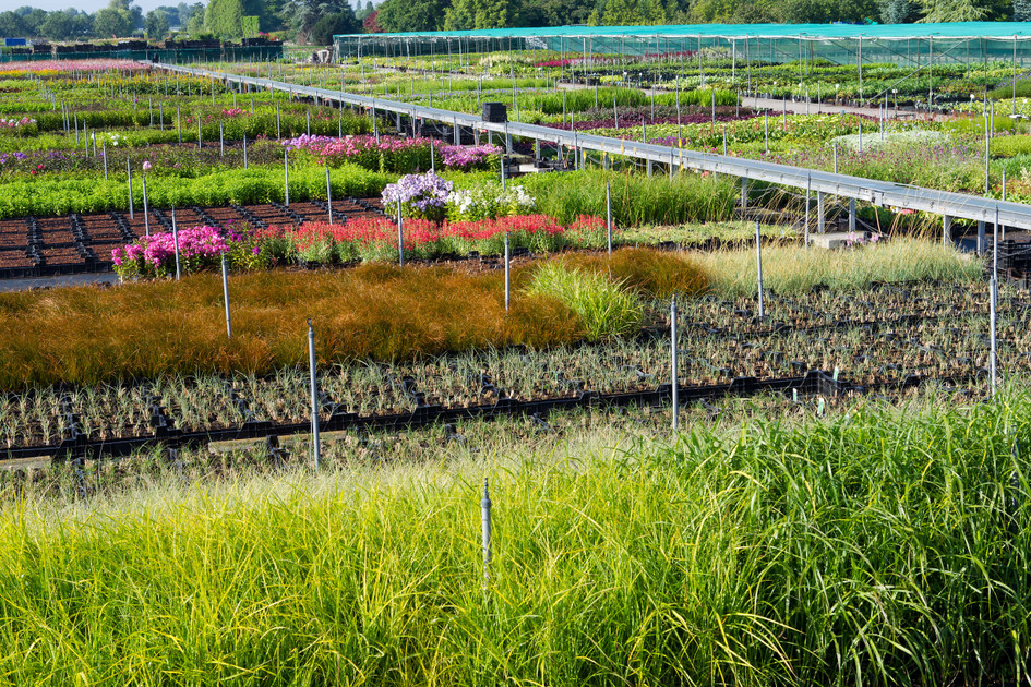 Climate, Crop Canopies & Microenvironments: How Growing Conditions Shape Biological Control