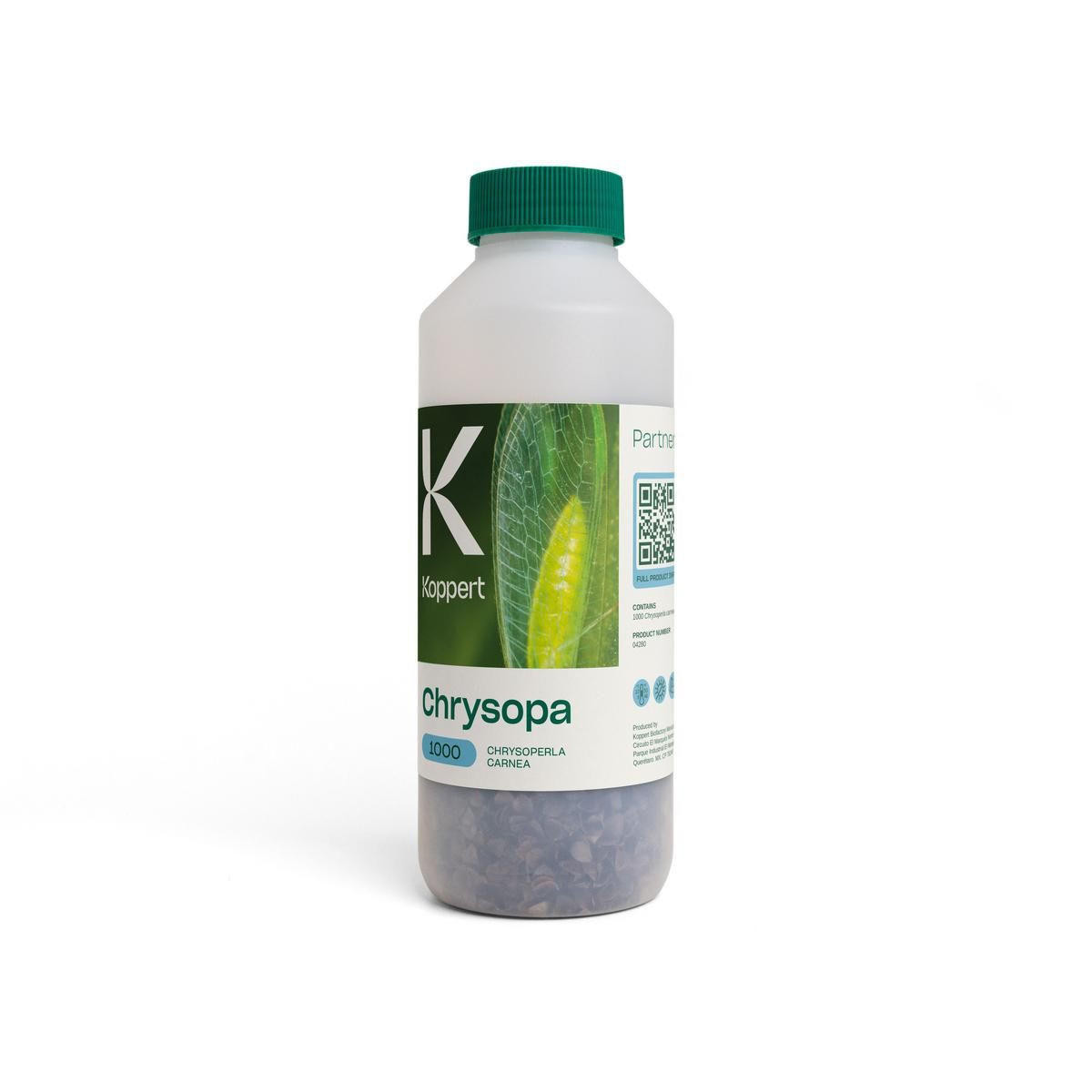 洋楽 CRISOPA / BIODANCE Chrysopa – Lacewing larvae for Aphid Control