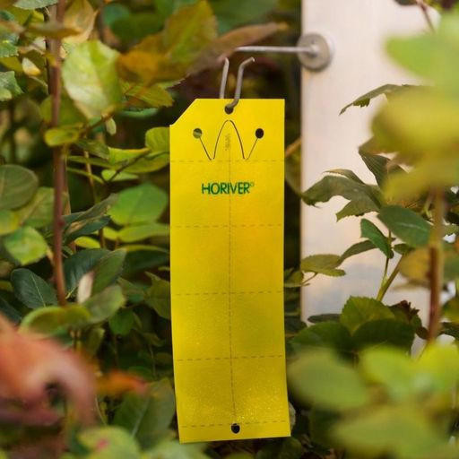 Horiver Sticky Traps – Yellow - Monitoring & Trapping
