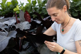 Tips and Tricks for Scouting in Integrated Pest Management (IPM)