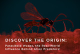 Discover the Origin: Parasitoid Wasps, the Real-World Influence Behind the Alien Predators!