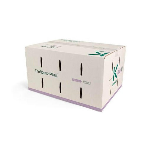 Thripex 500 sachets - Amblyseius cucumeris Natural Enemies Organic Chemical-Free Pest Control, Natural Hemp Russet Mites, Broad Mites, Thrips Control.