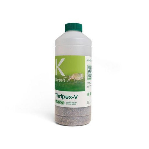 Thripex V Bottle 50,000 count -Amblyseius cucumeris Natural Enemies Organic Chemical-Free Pest Control, Natural Hemp Russet Mites, Broad Mites, Thrips Control.