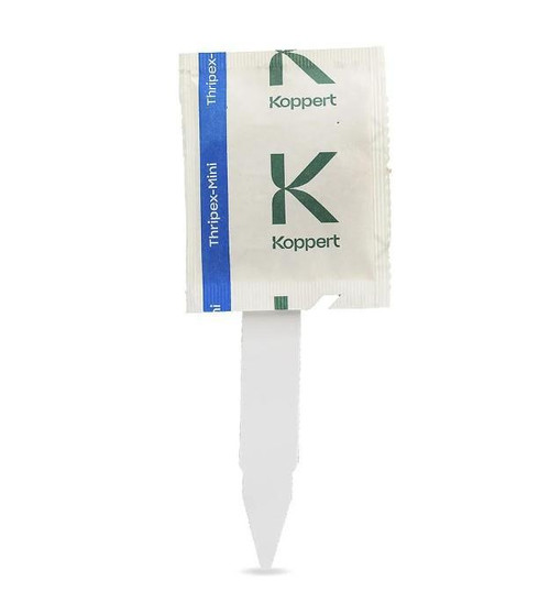 Thripex - Mini 500 sachets on sticks - Amblyseius cucumeris Natural Enemies Organic Chemical-Free Pest Control, Natural Hemp Russet Mites, Broad Mites, Thrips Control.