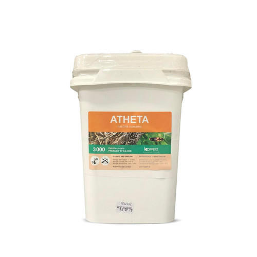 Atheta 3000, large bucket 5l - Dolatia coriaria Natural Enemies Organic Chemical-Free Pest Control, Natural Root Aphids, Fungus Gnats, Flies Control.