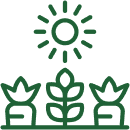 Category Icon