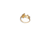 Sagittarius Ring
