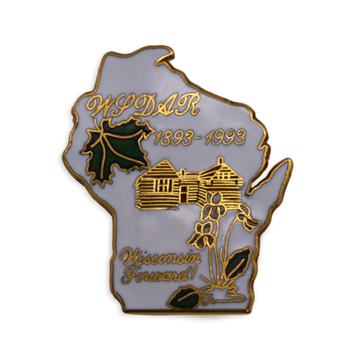 Wisconsin Centennial Pin