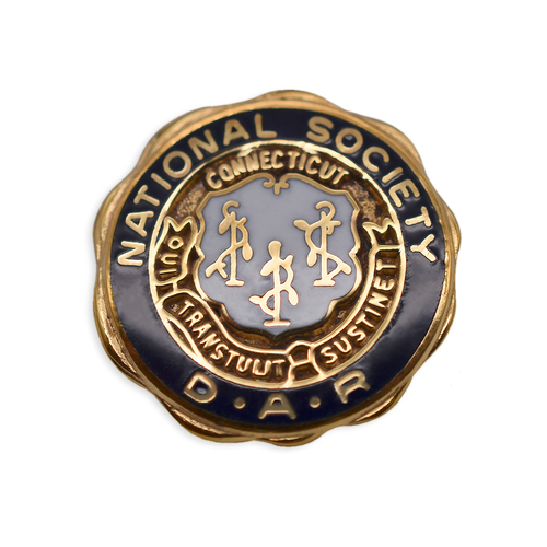 Connecticut State Pin