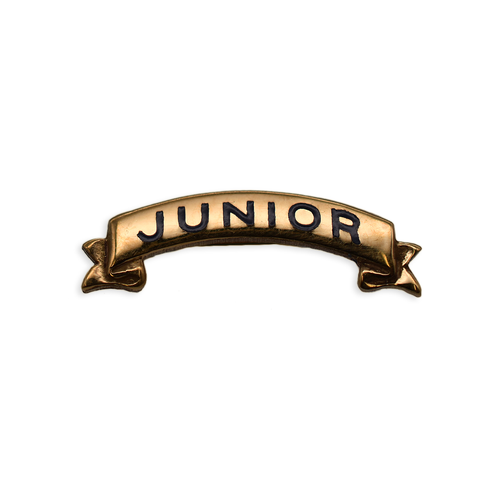 Junior Member