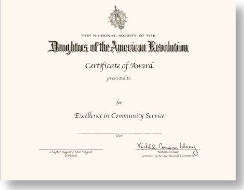 Community Service Award Pin/Certificate