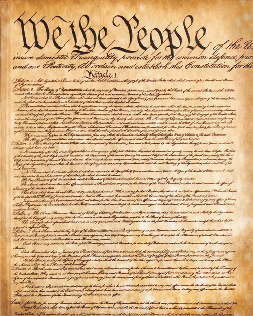 journal cover featuring the US Constitution