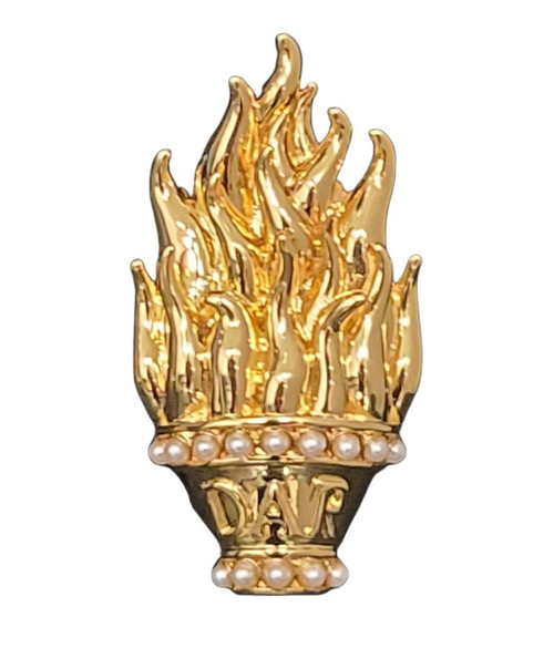 Light the Path of Success Education Pin