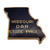 Missouri State Page Pin