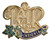 Insignia Volunteer