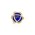Units Overseas Chapter Regents Club
