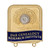 DAR Genealogy Research Institute Pin