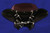 Universal ABS Plastic Fairing Windshield Honda Cruiser Shadow Spirit 750 1100 7"