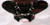 Painted Universal ABS Fairing Windshield 4 Harley Softail Low Rider 2018-2019