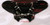 Painted Fairing Windshield Universal 4 Cruiser Honda VTX 1800 7" HEADLIGHT