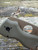 Pre-Owned Spyderco Shaman® OD Green G-10 CTS 204P Flat Dark Earth Blade Exclusive
