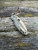 Pre-Owned Spyderco Shaman® OD Green G-10 CTS 204P Flat Dark Earth Blade Exclusive