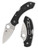The Spyderco Dragonfly with leaf shaped blade in VG-10 steel and black FRN scales.