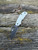 The Spyderco Urban GP Knives Exclusve with white FRN scales and PVD coated REX45 blade.