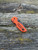 Spyderco Lil' Native® Cutlery Shoppe Exclusive