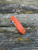 The Spyderco Positron Knife Center Exclusive in orange polished G10 with an S35VN blade.