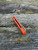 The Spyderco Positron Knife Center Exclusive in orange polished G10 with an S35VN blade.