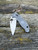 Pre-Owned Spyderco Manix® 2 Lightweight Maxamet®
