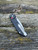Extrema Ratio BF2-CT Stonewash