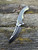 Pre-Owned WE Knives Sea Monster