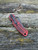 Pre-Owned Spyderco Para Military® 2 Red/Black G-10 CPM® MagnaCut® Crucible